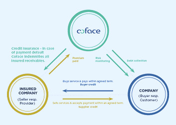 What is Coface Credit Insurace